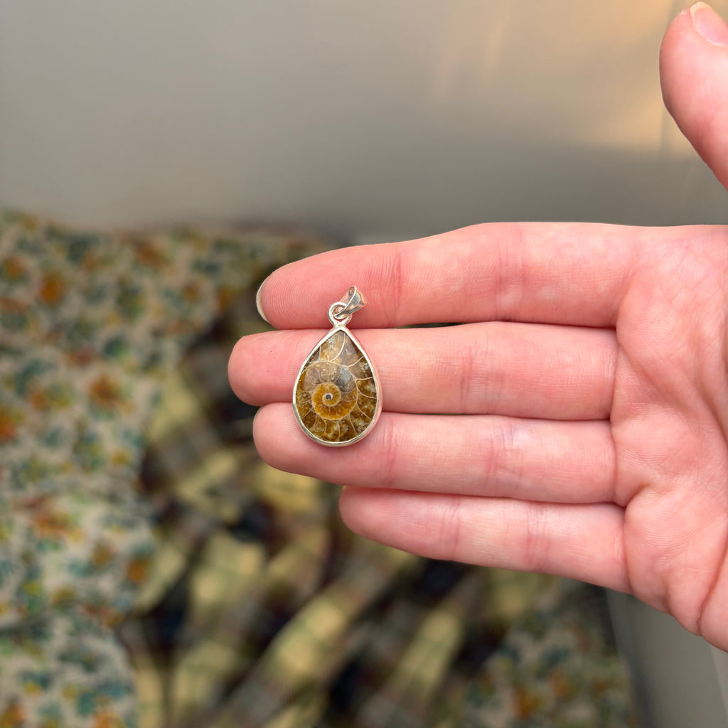 Ammonite Fossil Necklace Pendant