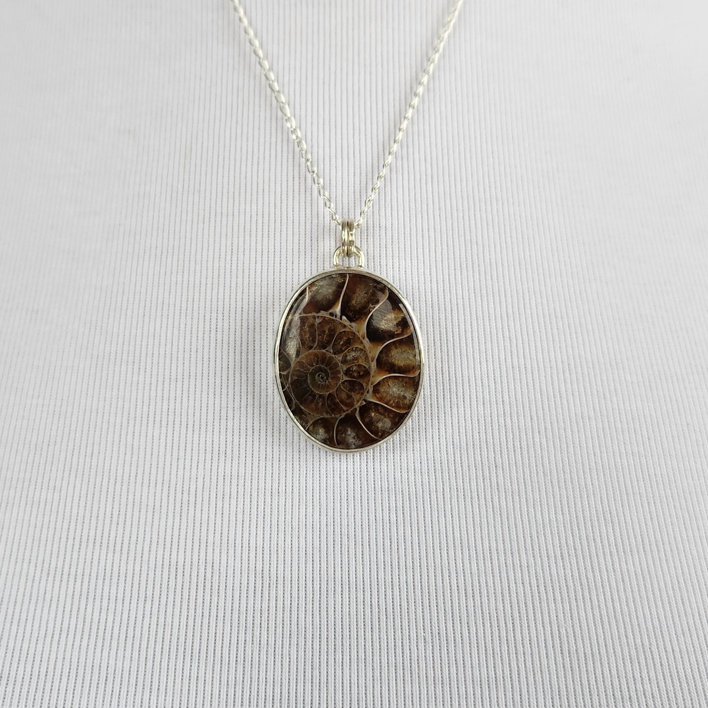 Ammonite Fossil Statement Necklace Pendant
