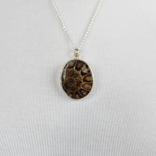 Ammonite Fossil Statement Necklace Pendant