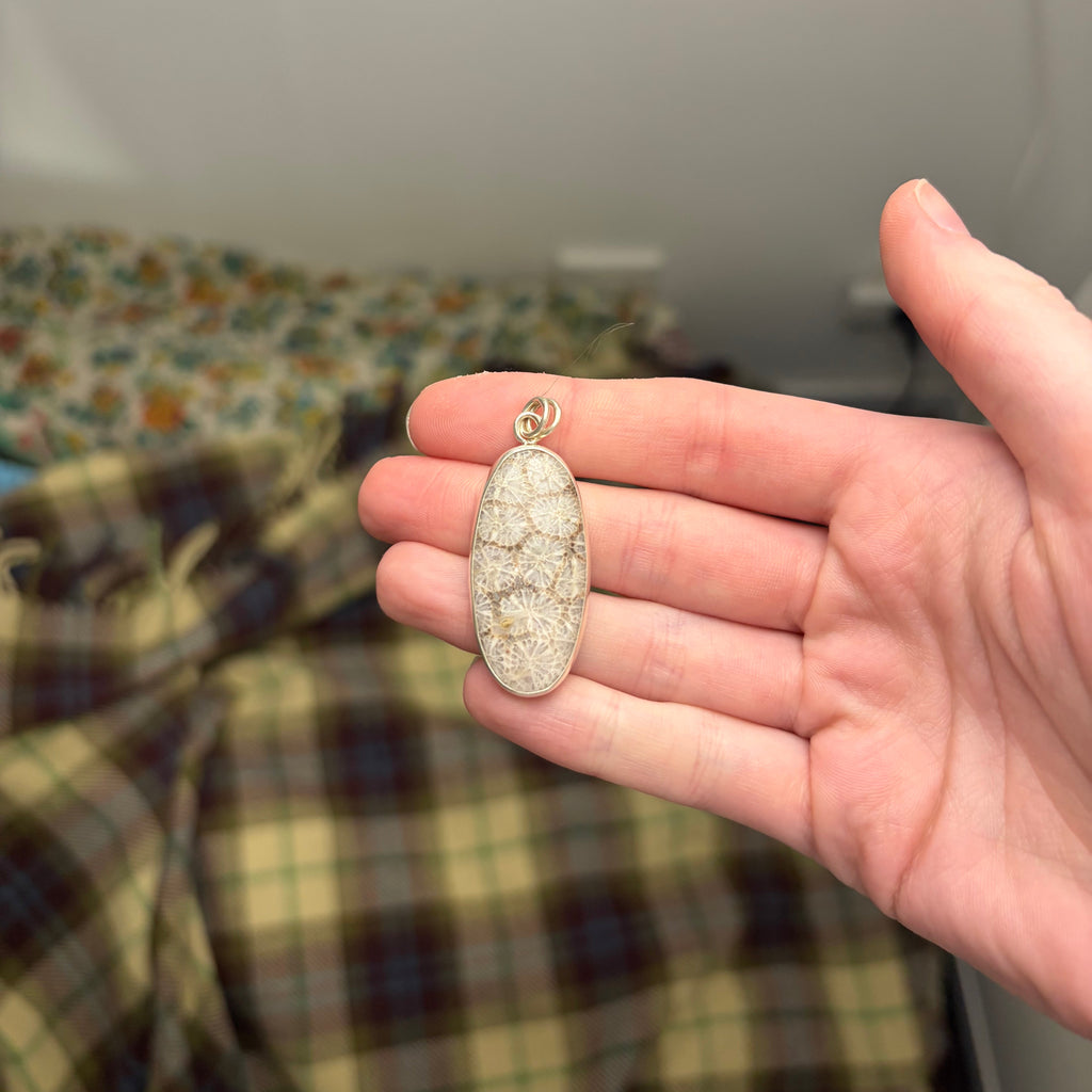 Fossil Coral Necklace Pendant