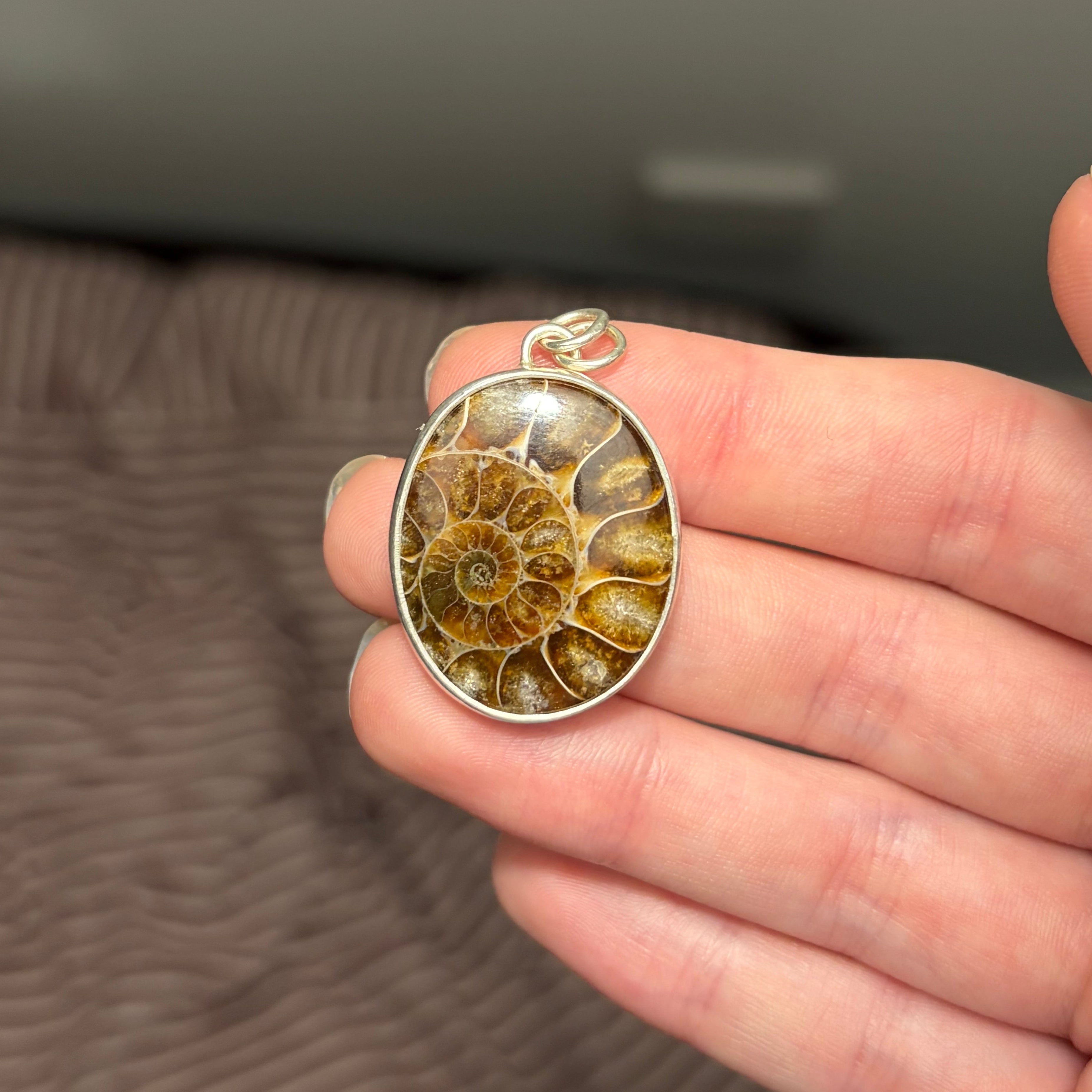 Ammonite Fossil Statement Necklace Pendant
