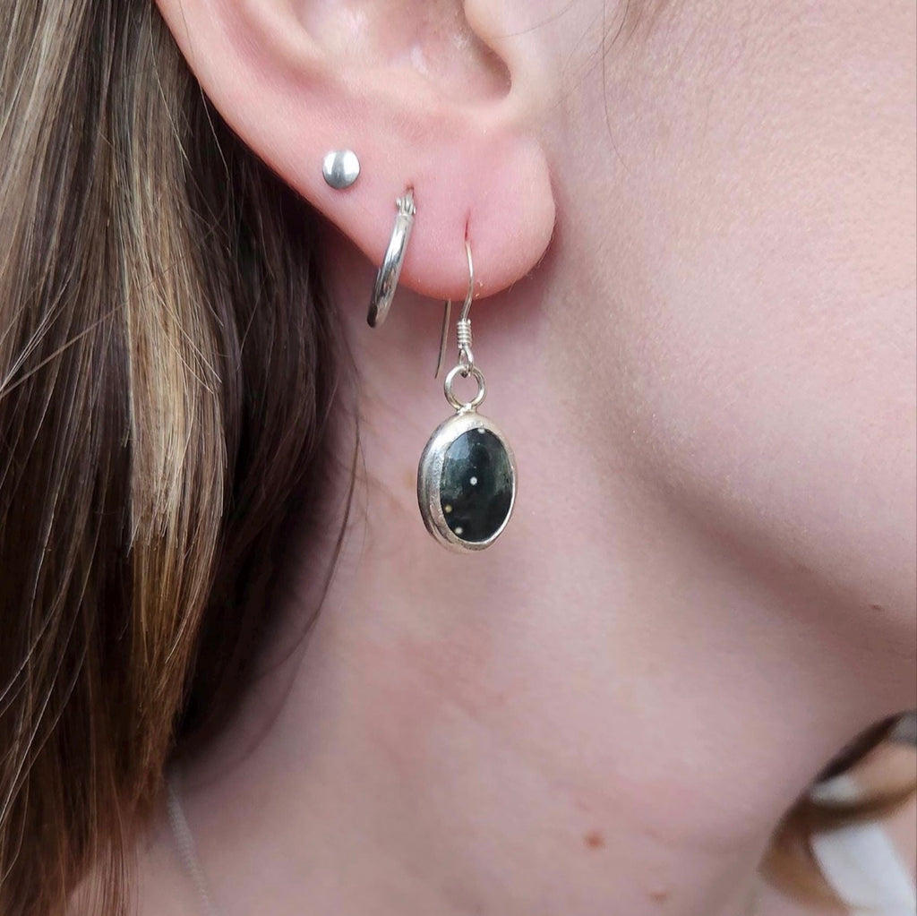 Ocean Jasper Dangle Earrings