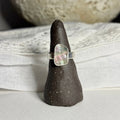 Abalone Chunky Ring | Size 7.75 / Size P