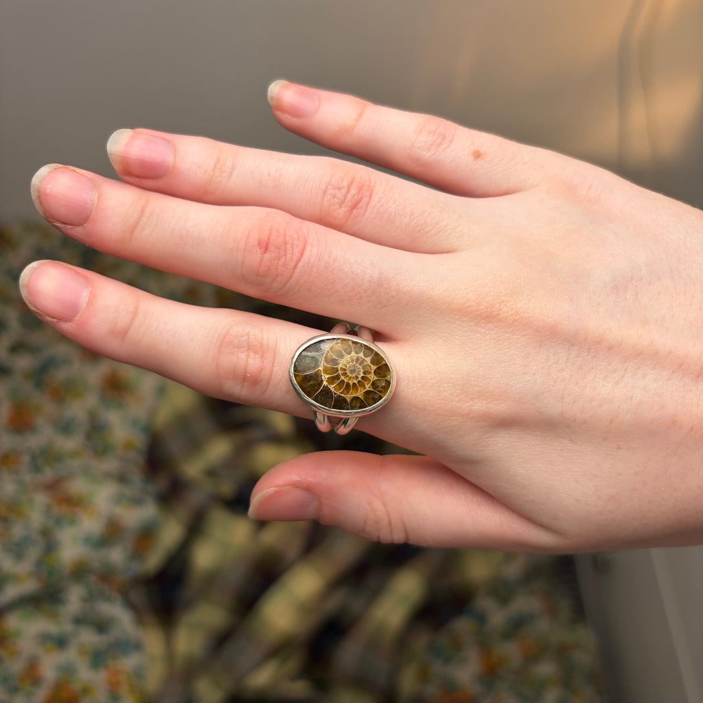 Ammonite Ring | Size 9.5 / Size S 1/2