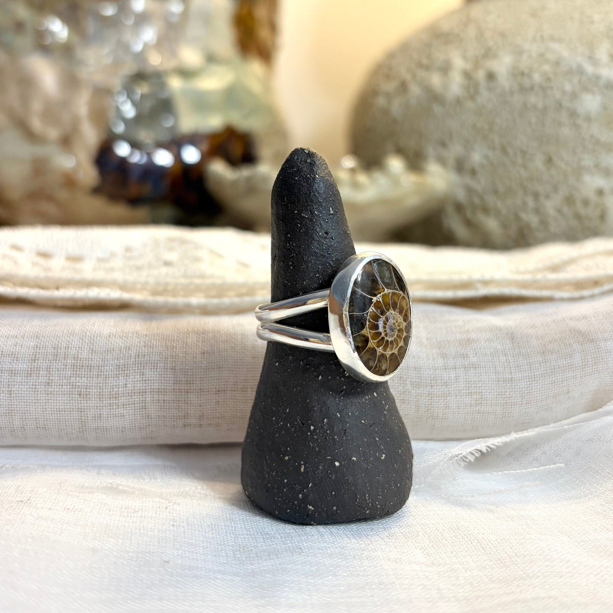 Ammonite Ring | Size 9.5 / Size S 1/2