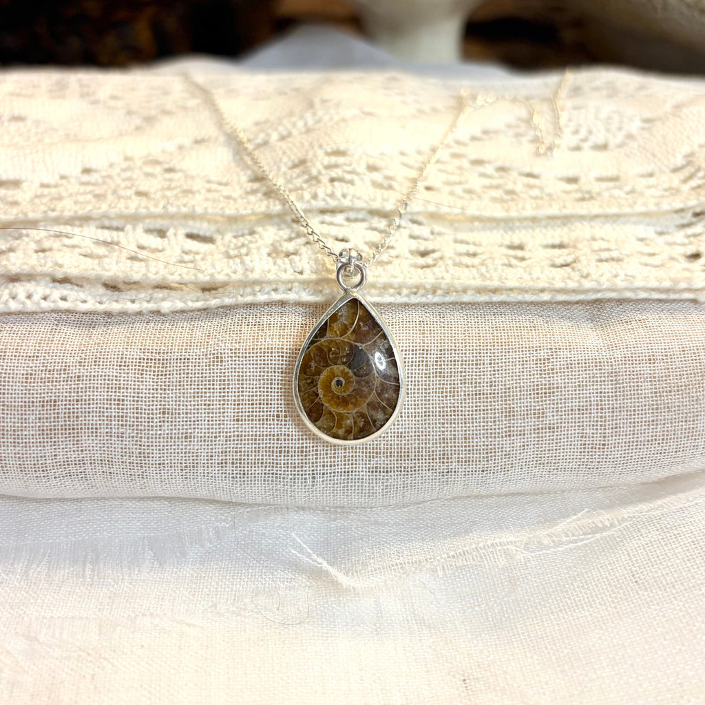 Ammonite Fossil Necklace Pendant