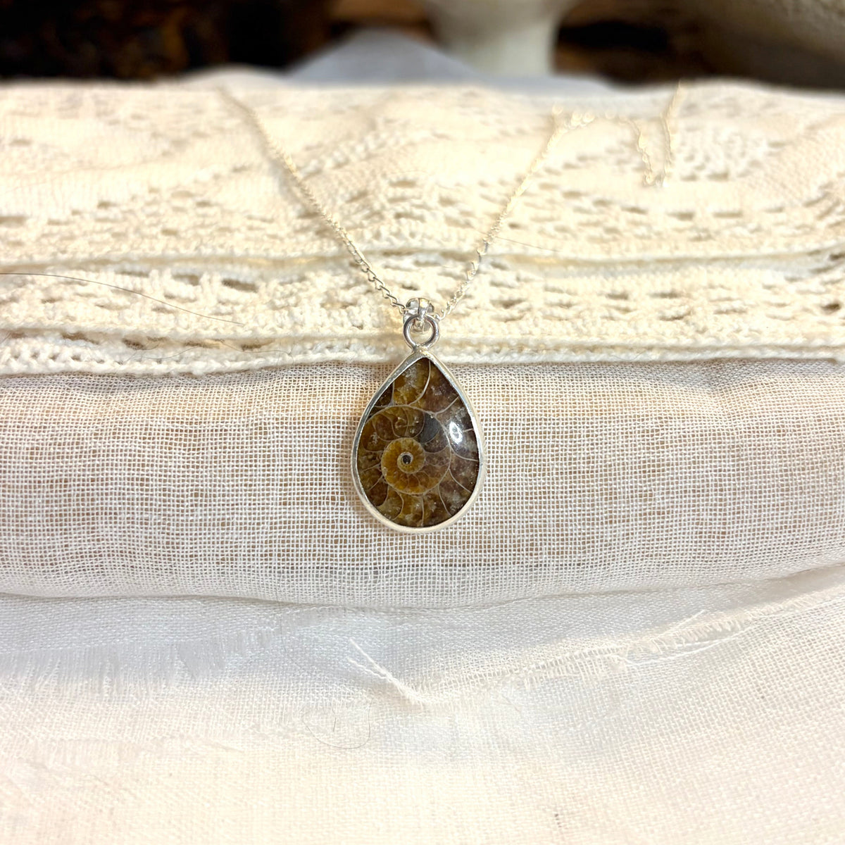 Ammonite Fossil Necklace Pendant