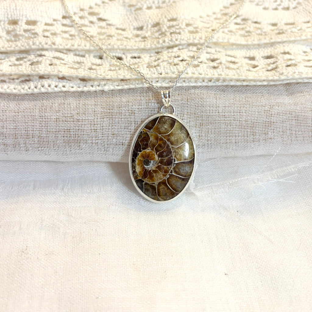 Ammonite Fossil Statement Necklace Pendant
