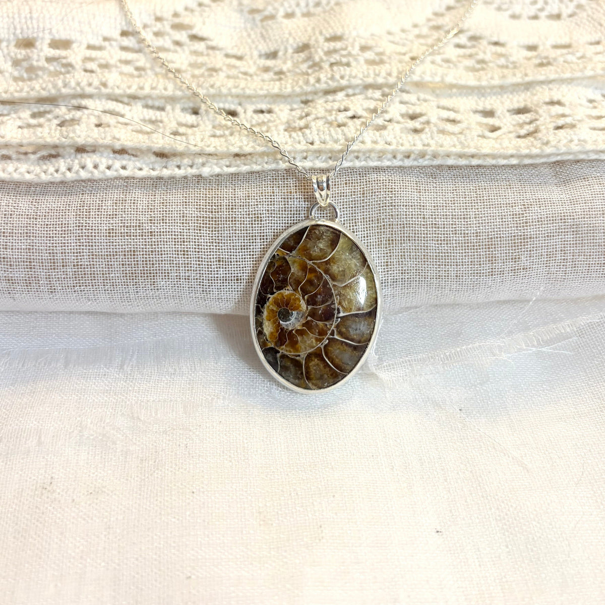 Ammonite Fossil Statement Necklace Pendant