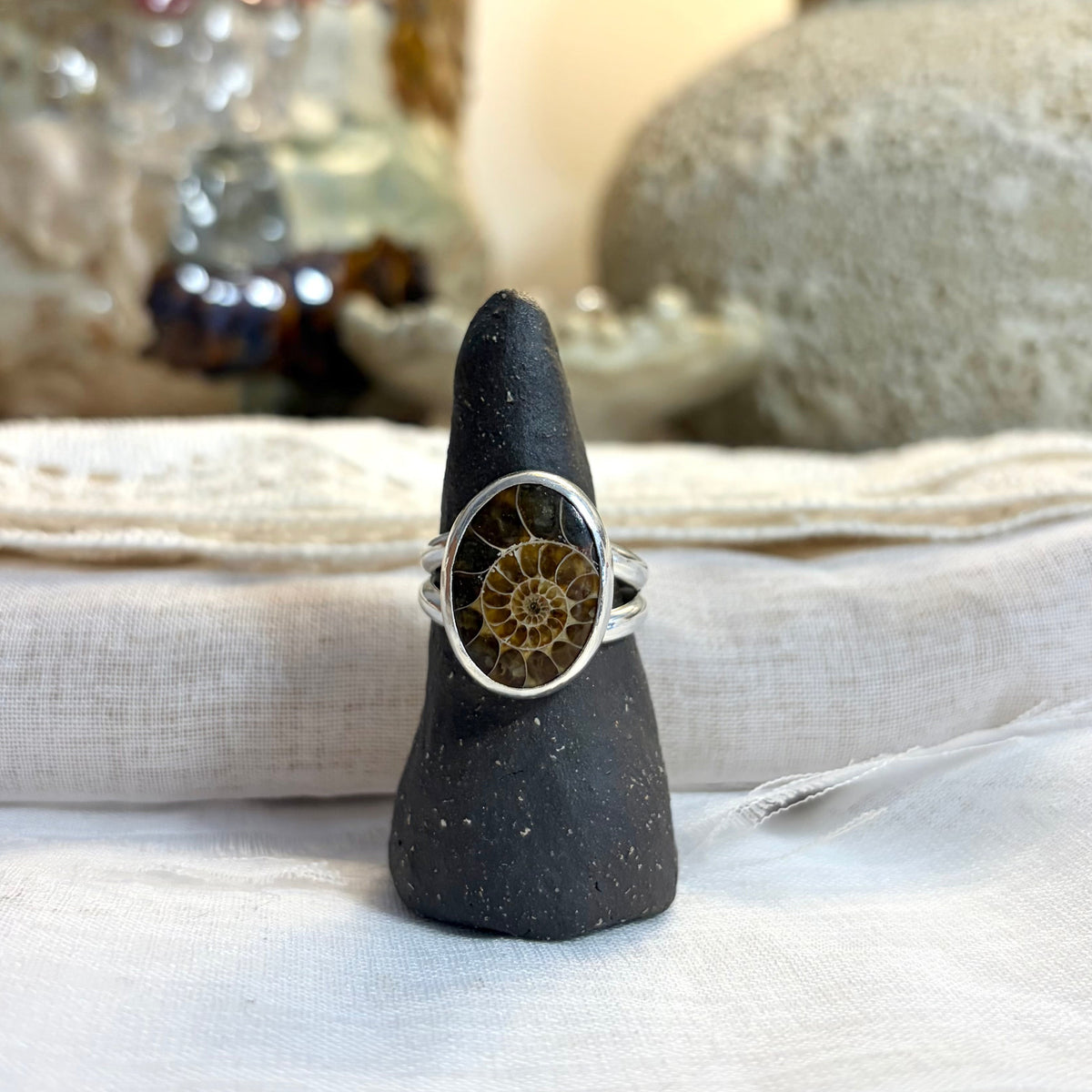 Ammonite Ring | Size 9.5 / Size S 1/2