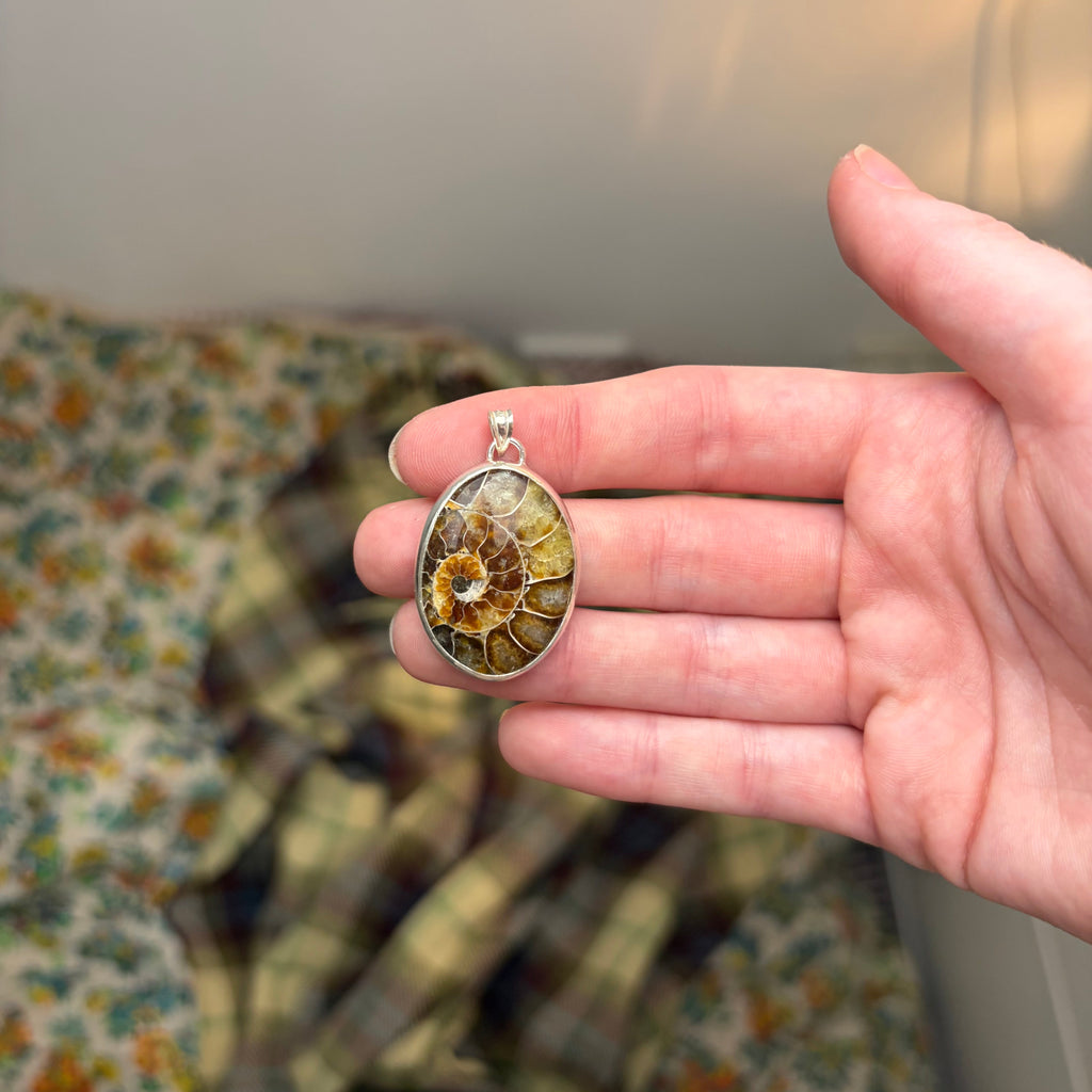 Ammonite Fossil Statement Necklace Pendant