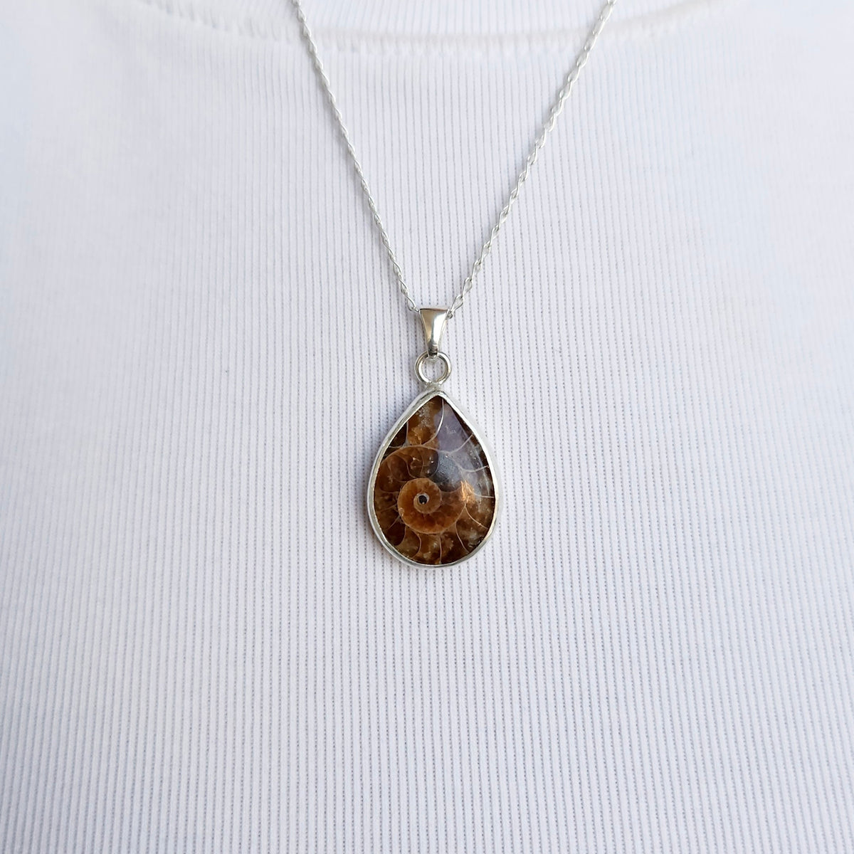 Ammonite Fossil Necklace Pendant
