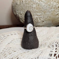 Shiva Eye Shell Ring | Size 6.5 / Size M 1/2